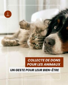 Lire la suite à propos de l’article Collecte de dons pour les animaux