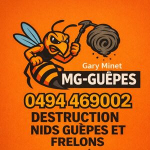 MG-Guêpes